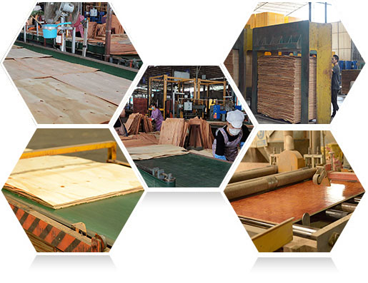 —高效生產(chǎn)，快速交貨