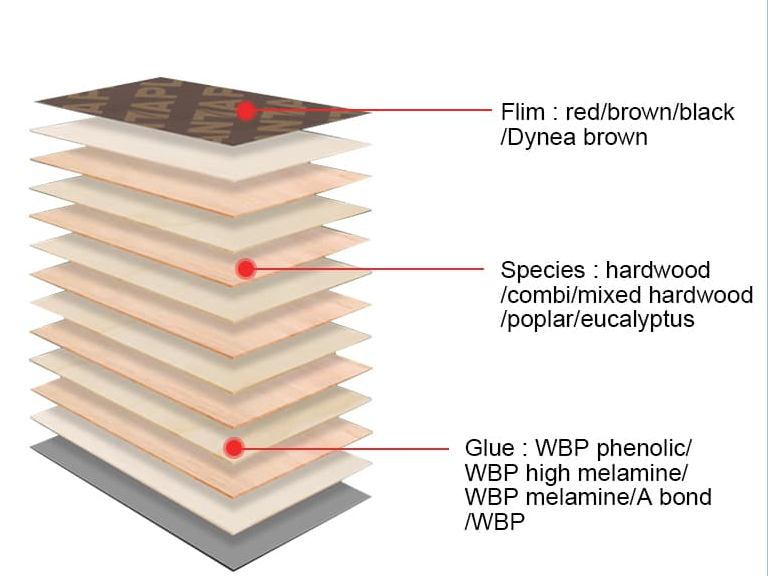 影響建筑模板生產(chǎn)質(zhì)量的五大因素是什么? 影響建筑模板生產(chǎn)質(zhì)量的五大因素是什么?