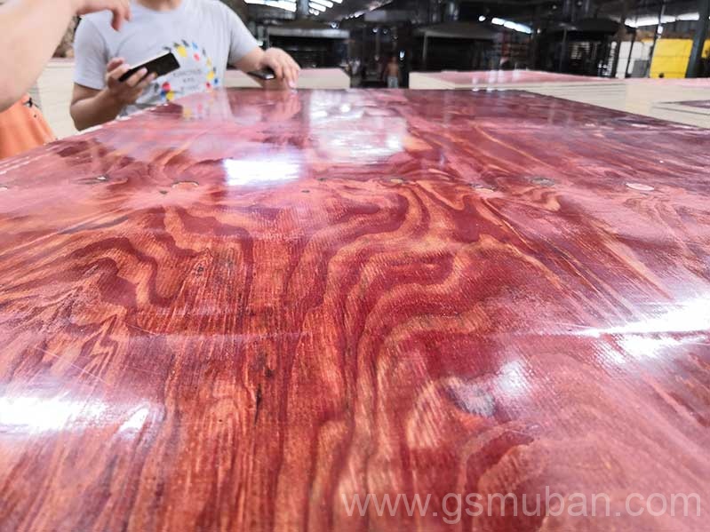 2025年建筑模板市場(chǎng)分析：機(jī)遇與挑戰(zhàn)并存！